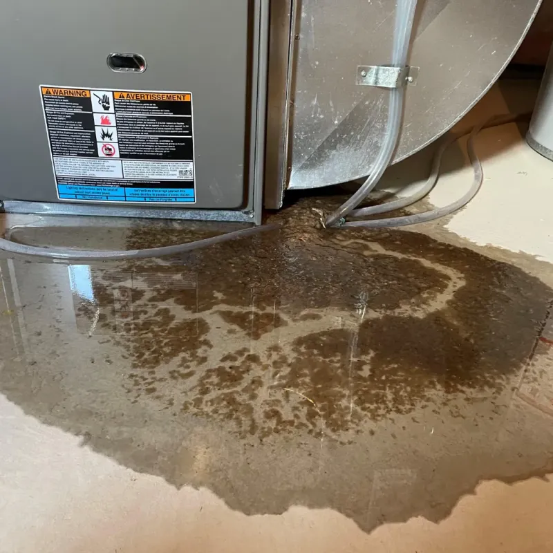 Appliance Leak Cleanup in Laurel Hollow, NY